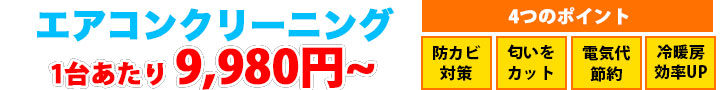おそうじ革命