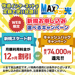 MAXネット