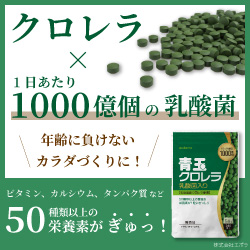 青玉クロレラ乳酸菌入り