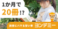 ヨンデミー 