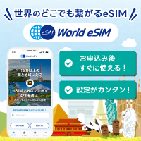 World eSIM