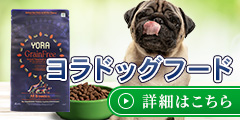 ヨラドッグフード