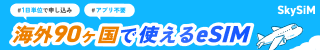 SkySiM(スカイシム)