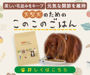 大型犬のための このこのごはん