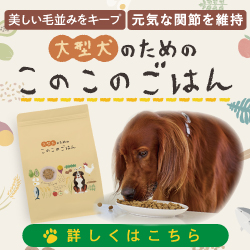 大型犬の健康にこだわった国産ドッグフード【大型犬のための このこのごはん】