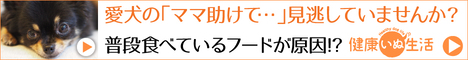 馬肉自然づくり