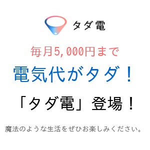 タダ電