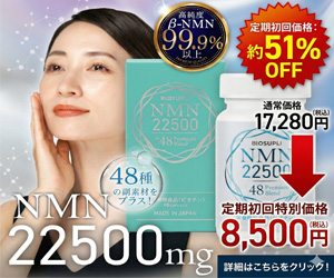 NMN22500＋48