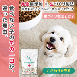 完全無添加ドッグフード＜定期便＞【ドッグフード工房】