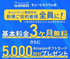 キューエネスでんき