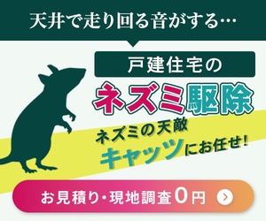 ネズミ駆除