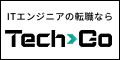 TechGo