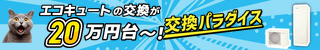 交換パラダイス