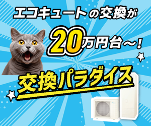 交換パラダイス