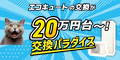 交換パラダイス