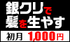 公式サイト(gincli.jp)