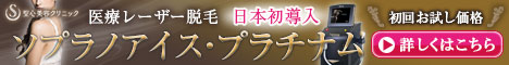 ソプラノアイスプラチナム