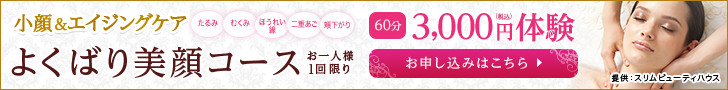 【フェイシャル】よくばり美顔体験　1回60分　3,000円