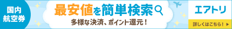 国内航空券エアーズゲート