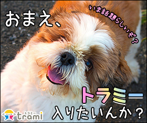 トラミー300×250