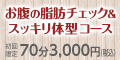 お腹の脂肪チェック&スッキリ体型コース