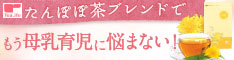 たんぽぽ茶
