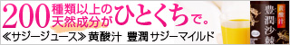 フィネスの黄酸汁(サジージュース)