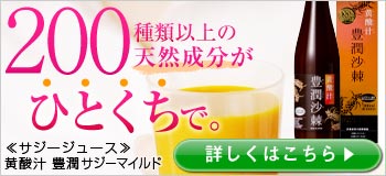 フィネスの黄酸汁(サジージュース)