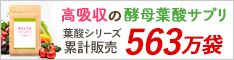 ベルタ葉酸サプリ（広告主提供バナー）