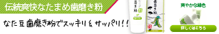 伝統爽快なたまめ歯磨き粉