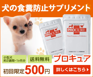 犬用サプリ