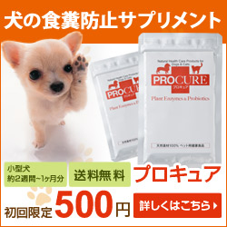 酵素とプロバイオティクスのペット(犬・猫)用サプリメント【プロキュア】 新規購入