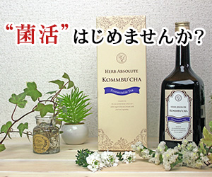 KOMBUCHA(コンブチャ)