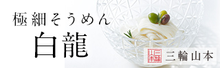 2017/6版　白龍訴求