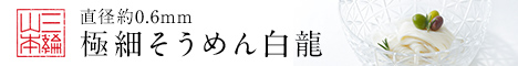 2017/6版　白龍訴求