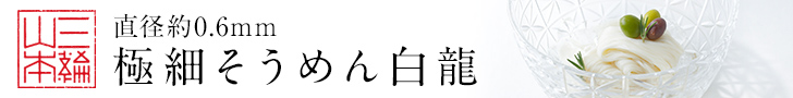 2017/6版　白龍訴求