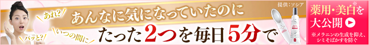 ѥۥ磻ȥ˥å