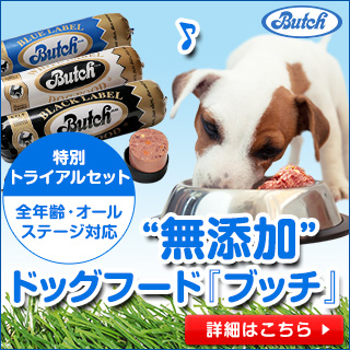 新規バナー