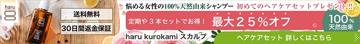 プレゼント、25%オフ