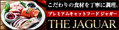 ジャガー２