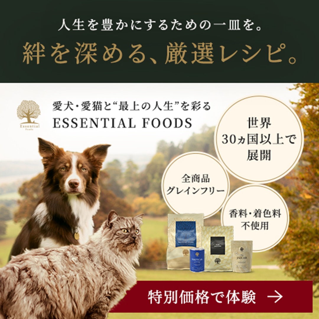 ジャガーキャットフード【贅沢キャットフード】