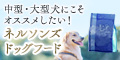 ネルソンズドッグフード	