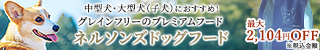 ネルソンズドッグフード