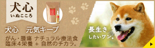 犬のがん　掲載バナー