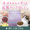 モグニャンキャットフード