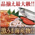 網走水産