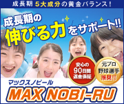 マックスノビール