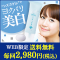 シズカゲル