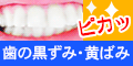 薬用パールホワイトプロシャイン