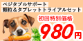 ٥֥륵ݡ
